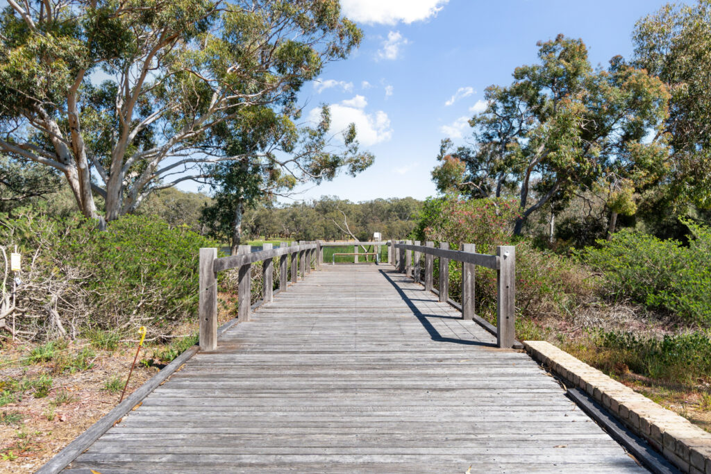 DSC00047 Floreat Suburb Guide: A Vibrant Community in Perth's Heart 3