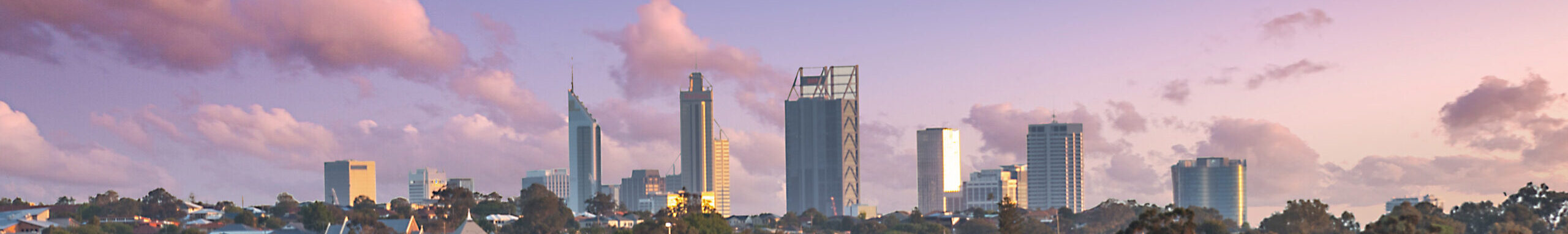 How to Protect Your Perth Property from Pests