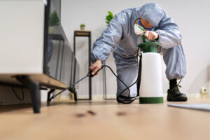How to Protect Your Perth Property from Pests