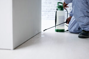 How to Protect Your Perth Property from Pests
