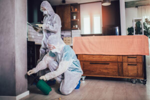 16 How to Protect Your Perth Property from Pests: Safeguard Your Property with Quinns Districts 3 How to Protect Your Perth Property from Pests