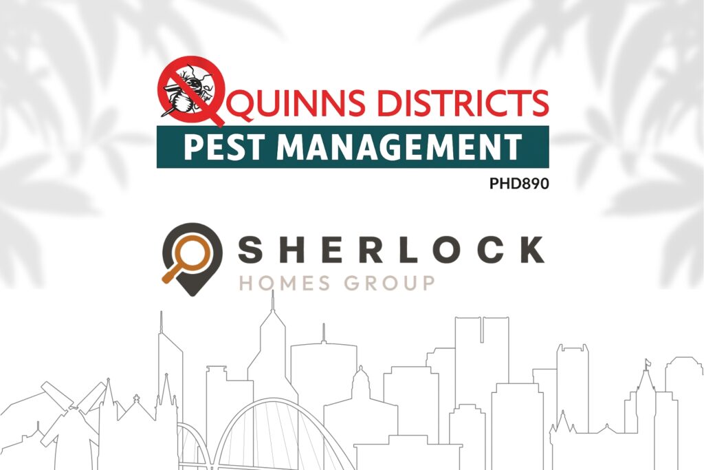 Untitled design 19 How to Protect Your Perth Property from Pests: Safeguard Your Property with Quinns Districts 1